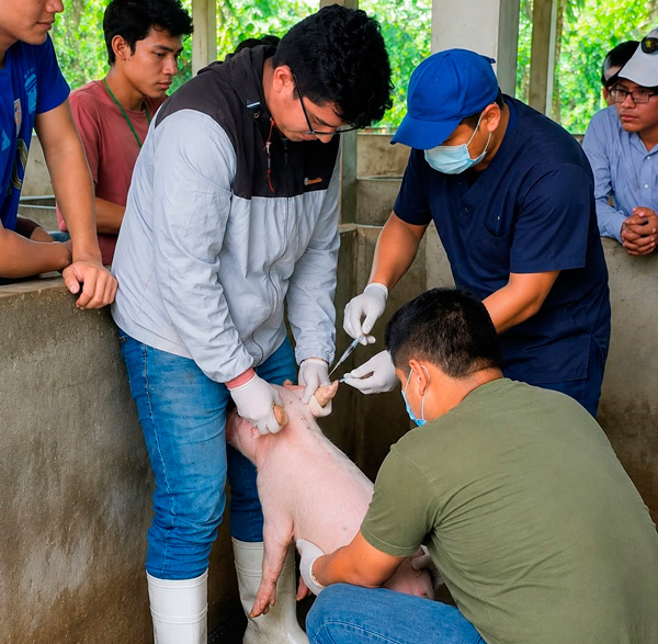 Imagen de estudiantes de agronomía realizando sus prácticas