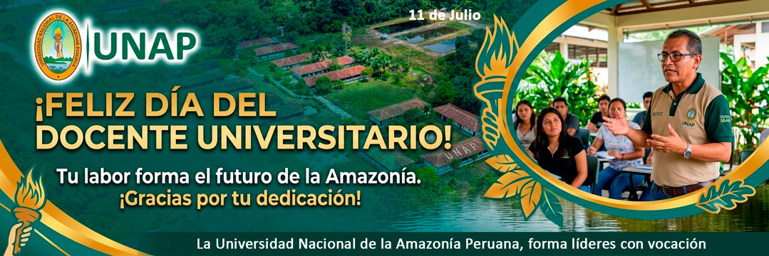 Imagen aliciva al Día del Docente Universitario que se celebra el 11 de julio de cada año